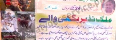 malik nazeer baggi walay  lahore pakistan business listings