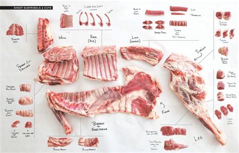 Carnes De Primeira Segunda E Terceira - A forma simples para aprender diferenciar carne de primeira, segunda e ...