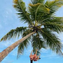 Carol Moreira Nude Leaks 2025 Fapopedia