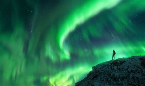 den-belitsky photos, images, assets | Adobe Stock