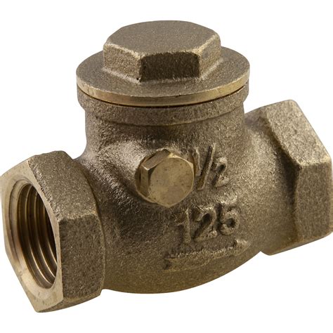 Check Valve 12 Fip Plumbshop®
