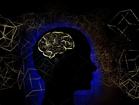 Your living space affects your headspace – The Daily Texan