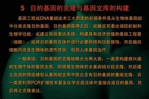 目的基因的克隆与基因文库的构建word文档在线阅读与下载无忧文档