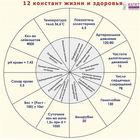 12 констант жизни и здоровья | Wissenswertes, Wissen, Anatomie