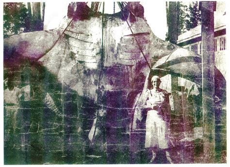 10 Fun Facts about Manta Rays - Manta Ray Advocates Hawaii