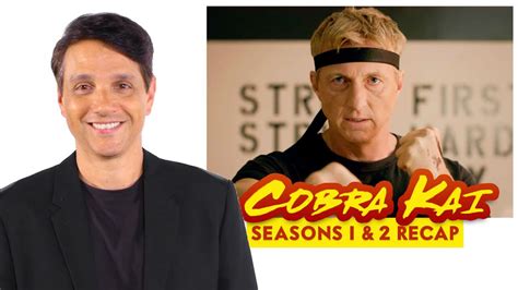 Ralph Macchio recaps ‘Cobra Kai’ (video) - cleveland.com