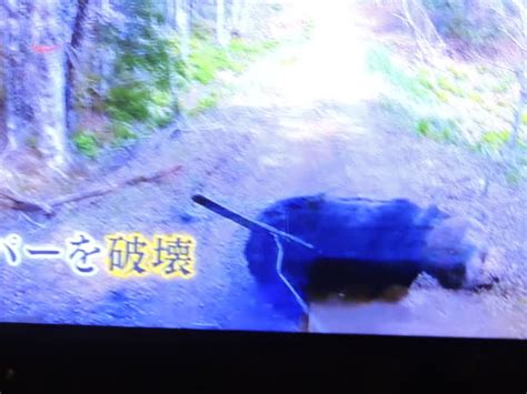 430 山道を走っていたら熊に攻撃された 雀のチータンたち