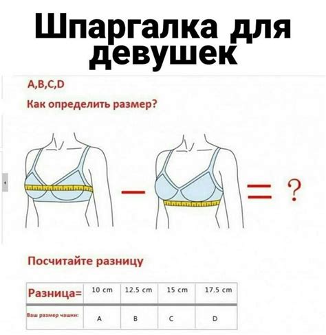 Размеры Груди У Женщин Таблица С Фото — Картинки фотографии