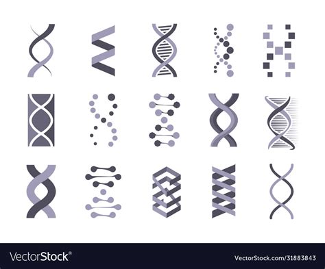 Dna Helix Molecule Silhouette Set Code Genetic Vector Image