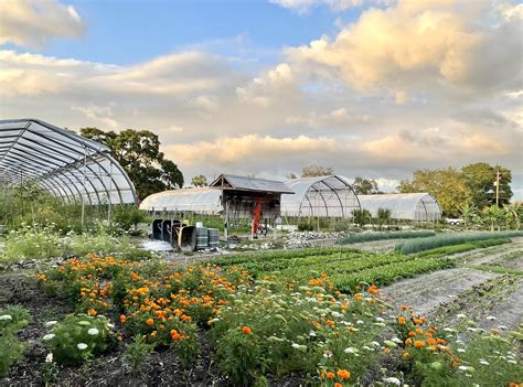 Meacham Urban Farm