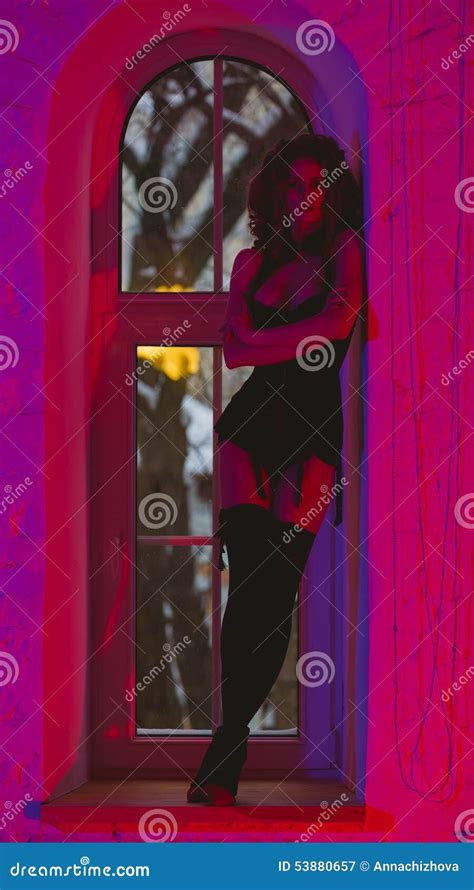 Brunette Woman In Lingerie Stock Image Image Of Lingerie 53880657