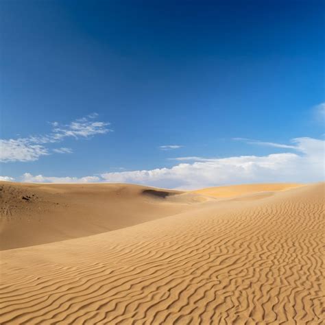 Premium AI Image | Desert landscape as far as the eye can see Golden ...