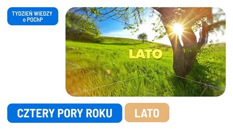 Cztery Pory Roku Lato YouTube