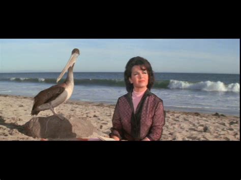 Happyotter HOW TO STUFF A WILD BIKINI