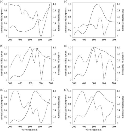 Measured Reflectance Spectra Of The Skin Regions Solid Line And