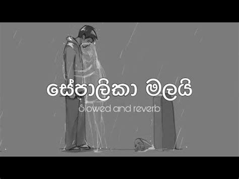 සපලක මලය SEPALIKA MALAI SLOWED AND REVERB YouTube