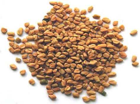 Fenugreek and Testosterone | Benefits and Side Effects