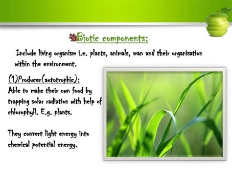 Introduction To Environment