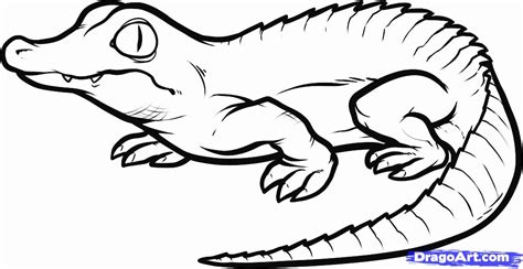 Alligator Head Drawing at GetDrawings | Free download