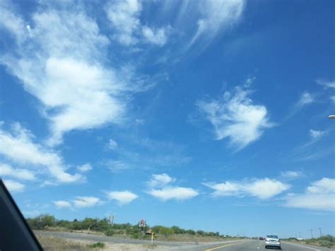 School Of Cloud Fish In Benson Arizona