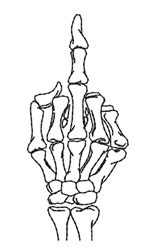 Fuck Skeleton Embroidery Design EmbroideryDesigns