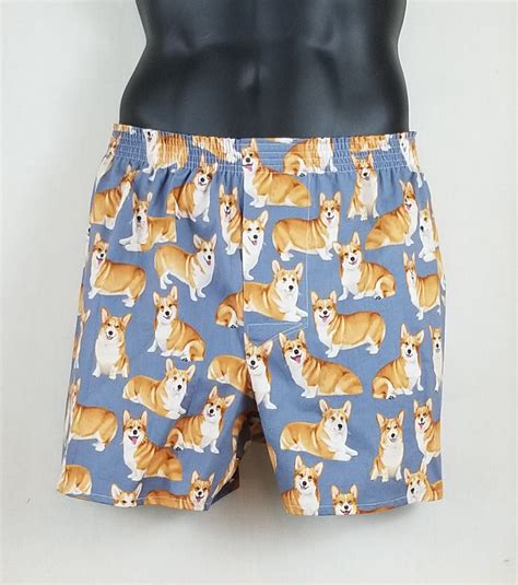 5 Coolest Corgi Shorts You Need To See Corgi Planet