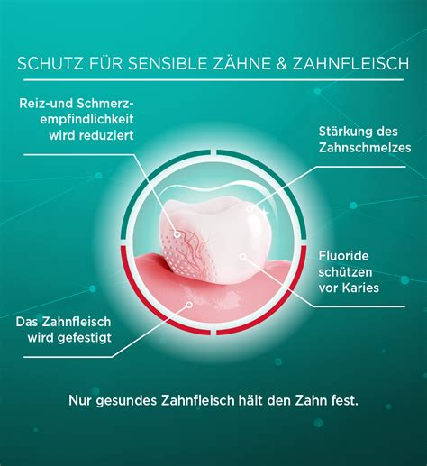 LACALUT® sensitiv Zahncreme | Lacalut