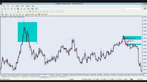 Webinar Fibo Musang Cbr Youtube