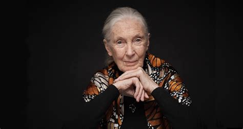 An Evening With Jane Goodall May 24 2023 The Montrealer