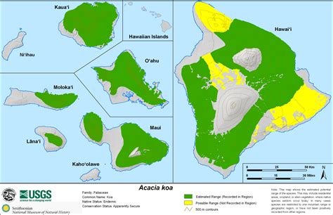 Koa Maui Native Nursery