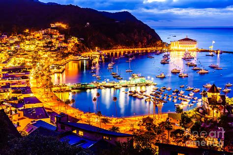 Catalina Adventurein Bay Avalon On Catalina Island Hd