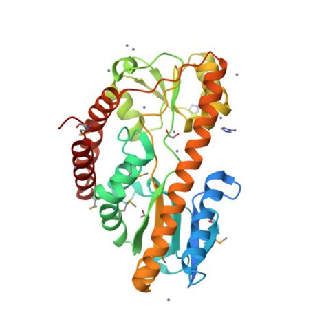 Rcsb Pdb Pe Crystal Structure Of A Trap Periplasmic Solute Binding