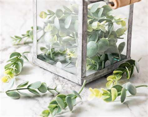 Freshly Harvested Seeded Eucalyptus Garland Seeded Eucalyptus Wedding