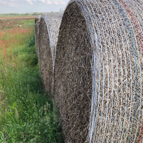 Peanut Hay Archives Haymap