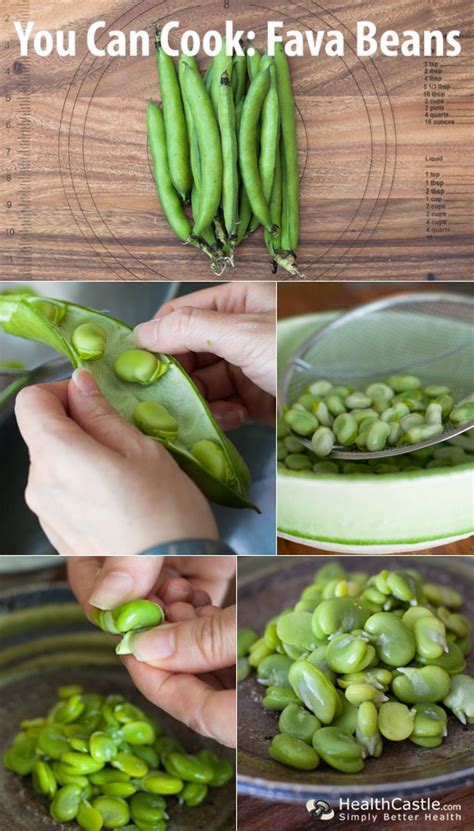 How To Cook Fresh Fava Beans Easy Prep Tips
