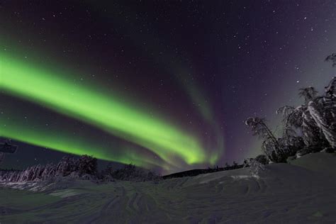 Alaska L Aurora Boreale Illumina I Cieli Di Fairbanks FOTO