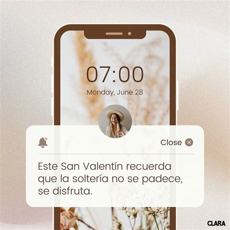 Frases De San Valent N Graciosas Para Solteros