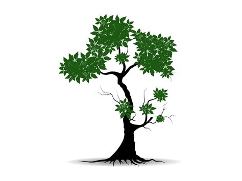 Black Branch Tree Or Naked Trees Silhouettes Set Hand Drawn Isolated Illustrations