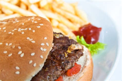 American cheese burger stock image. Image of french, food - 19913893