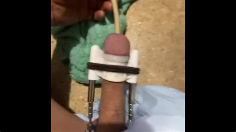 Penis Stretcher Pornhub Gay