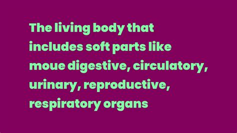 The Living Body That Includes Soft Parts Like Moue Digestive