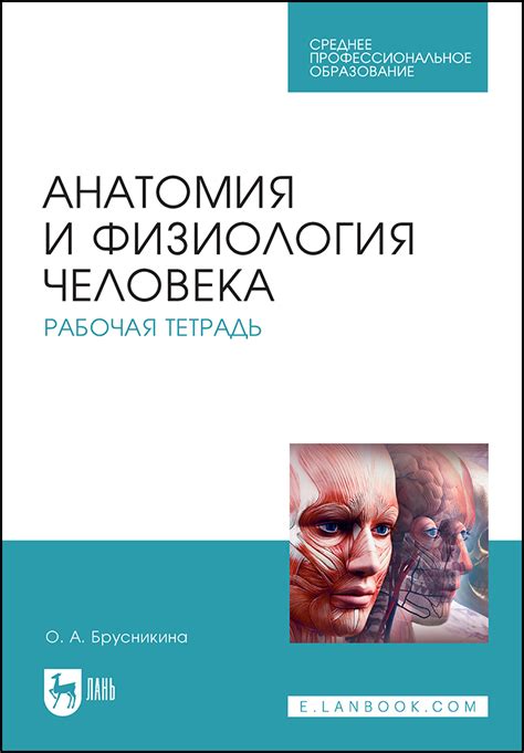 Анатомия и физиология человека. Рабочая тетрадь, Брусникина О. А ...