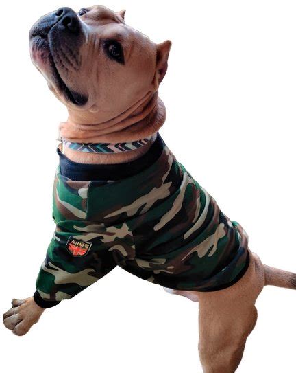 Camoflage Winter Jacket Doxters Lab