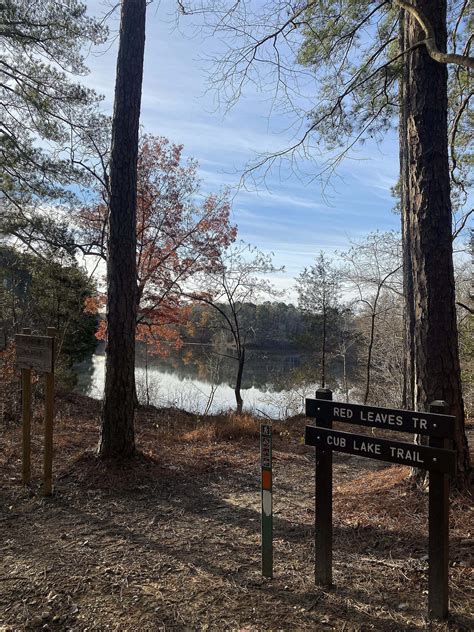 Natchez Trace State Park, TN - Volunteer Vacations 2023 - American