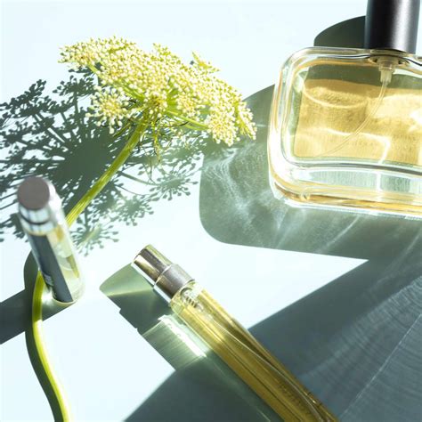 What is Galbanum and How Does it Smell?