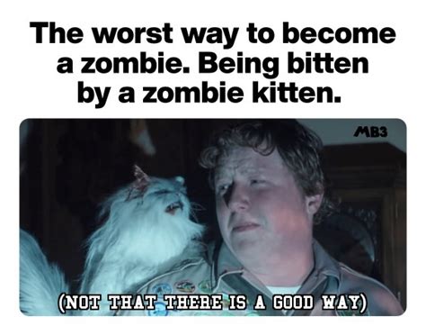 Zombie Kitten - Meme by moviefan7983 :) Memedroid