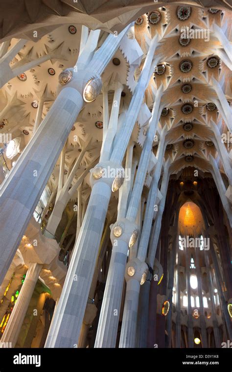 Innenraum Der Sagrada Familia Fotos Und Bildmaterial In Hoher