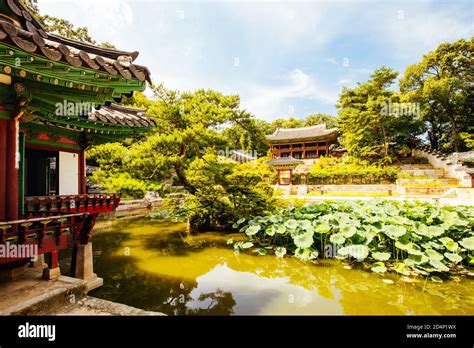 changdeokgung palace secret garden  south korea stock photo alamy