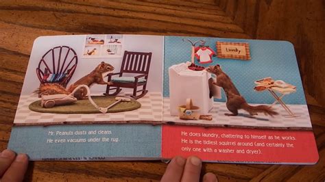 The Secret Life Of Squirrels By Nancy Rose Read Aloud For Kids Youtube