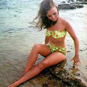 Dawn Wells Nude Pictures Photos Playboy Naked Topless Fappening